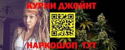 гашик Моздок
