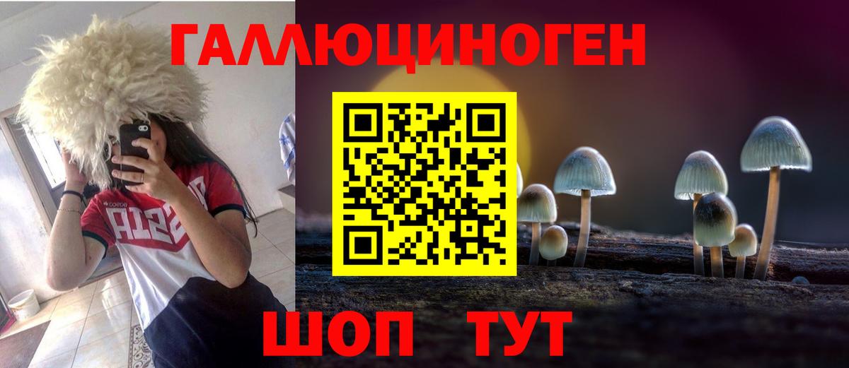 Галлюциногенные грибы Psilocybine cubensis Ульяновск